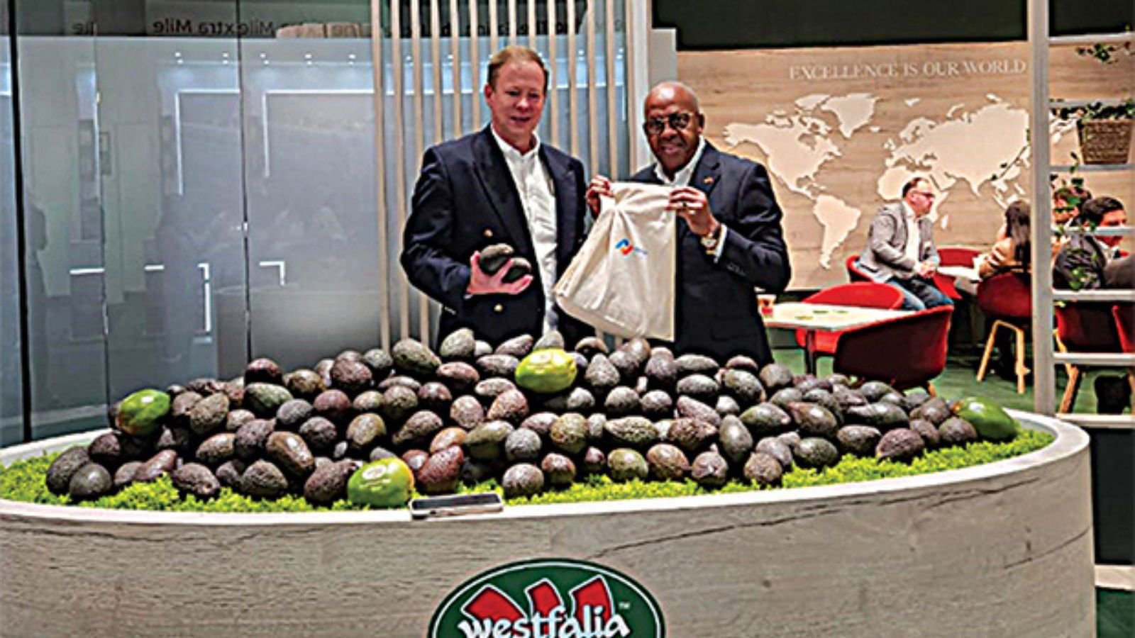 Image from the article Angola prepares to export avocados to Germany, See more details - Unekao